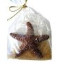 Chocolate Starfish Gift Bag Milk